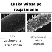 HG zachowana łuska.jpg