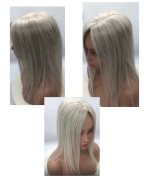 Soft Platinum Silver (1).png