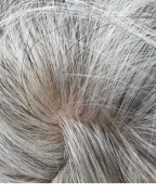 Soft Platinum Silver (2).png