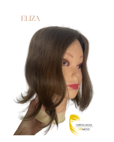 ELISA.png
